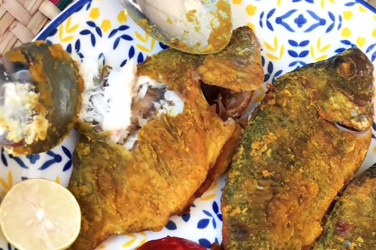 برتری کیفیت پخت ماهی در سرخ کن دیمی